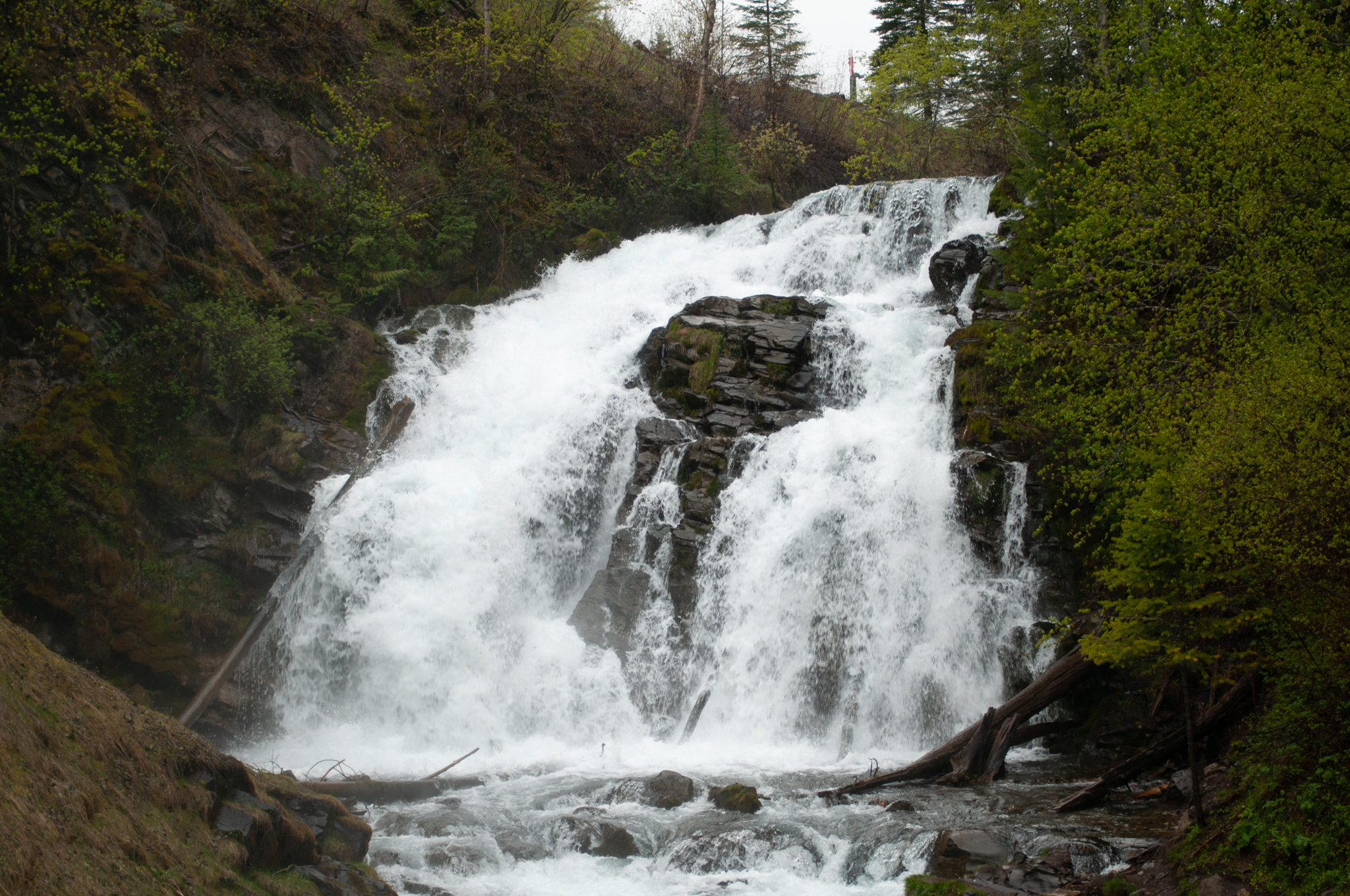fairy creek falls