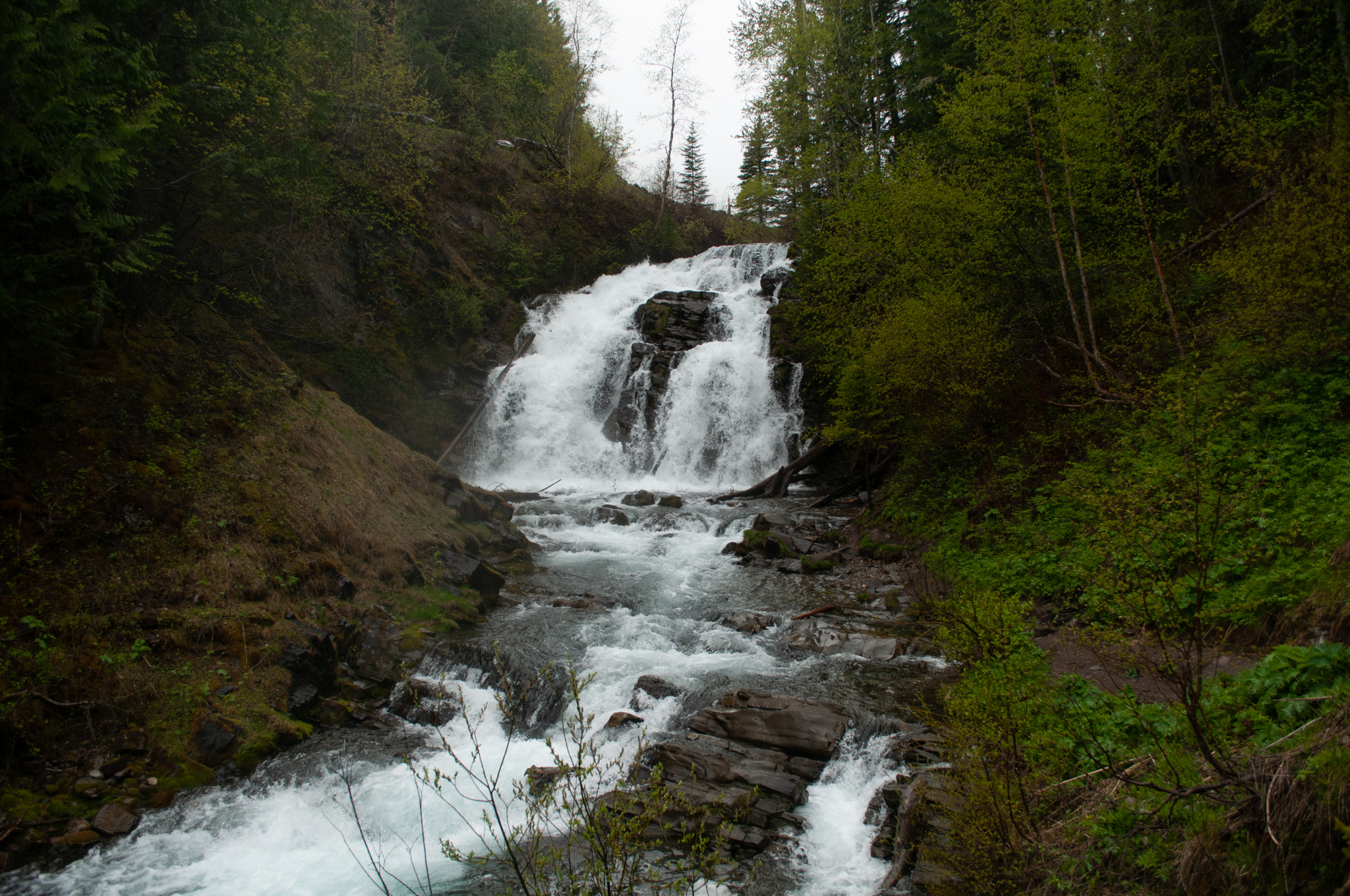 fairy creek falls