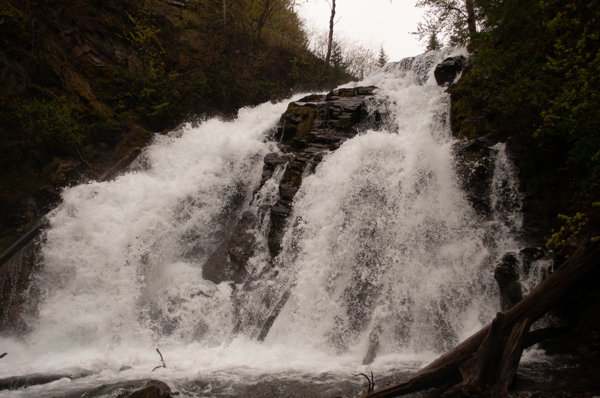 fairy creek falls