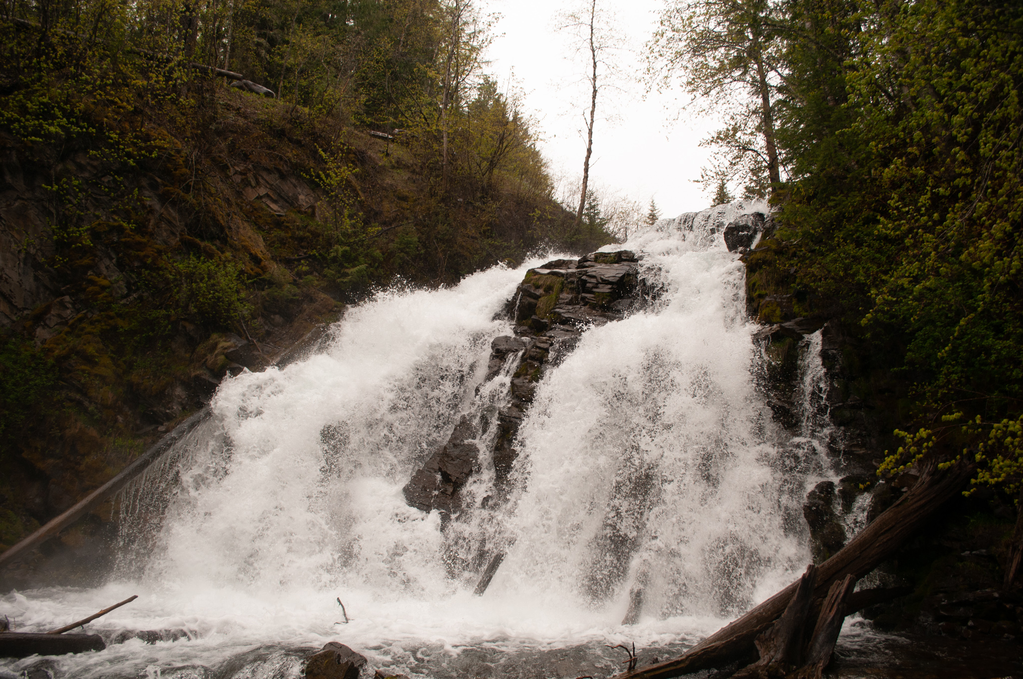 fairy creek falls