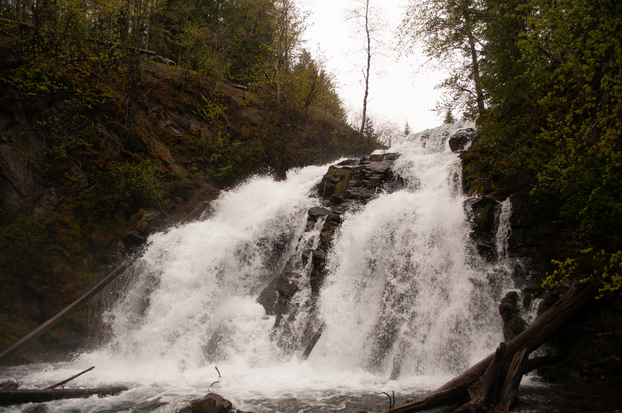 fairy creek falls
