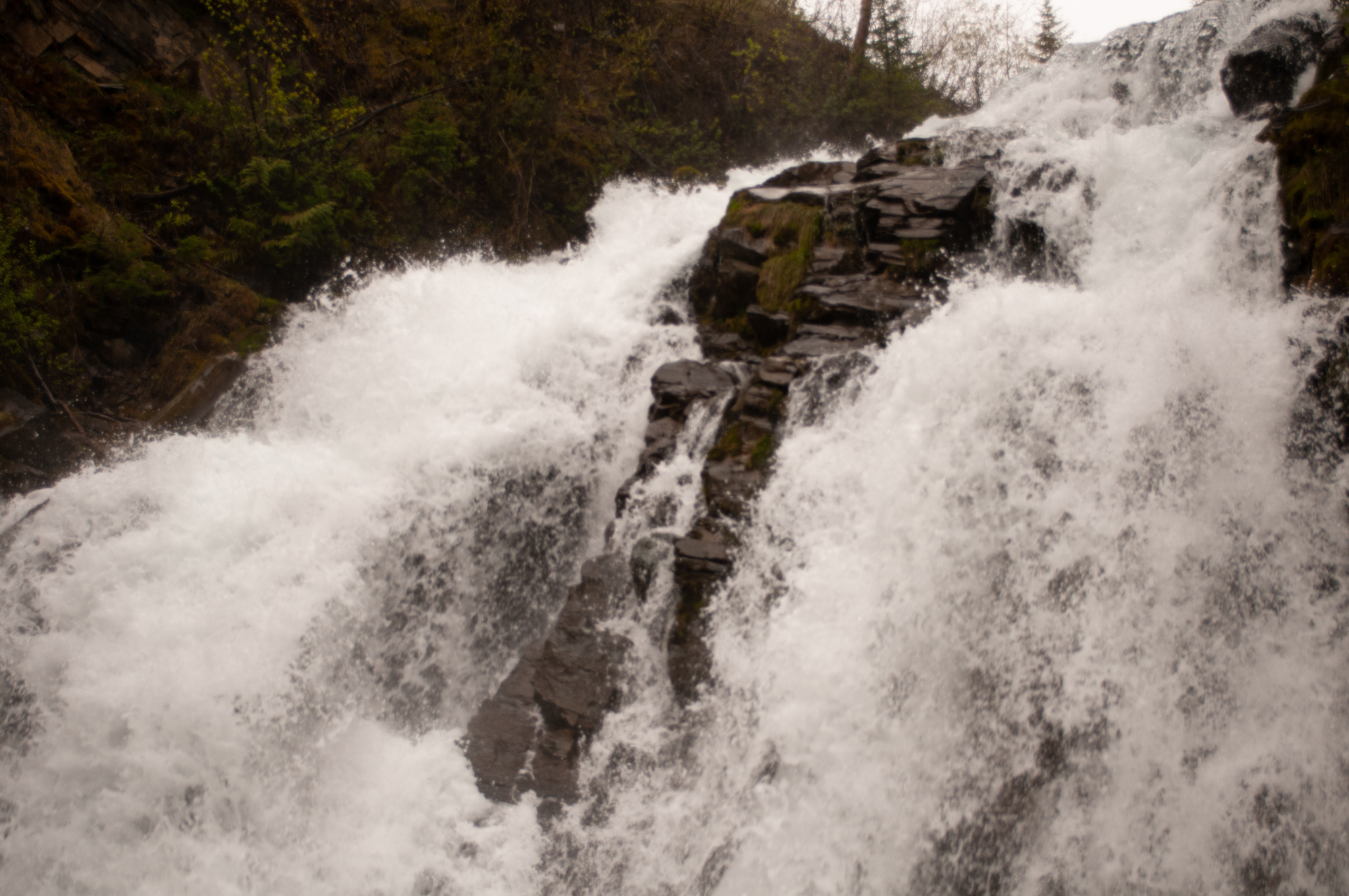 fairy creek falls