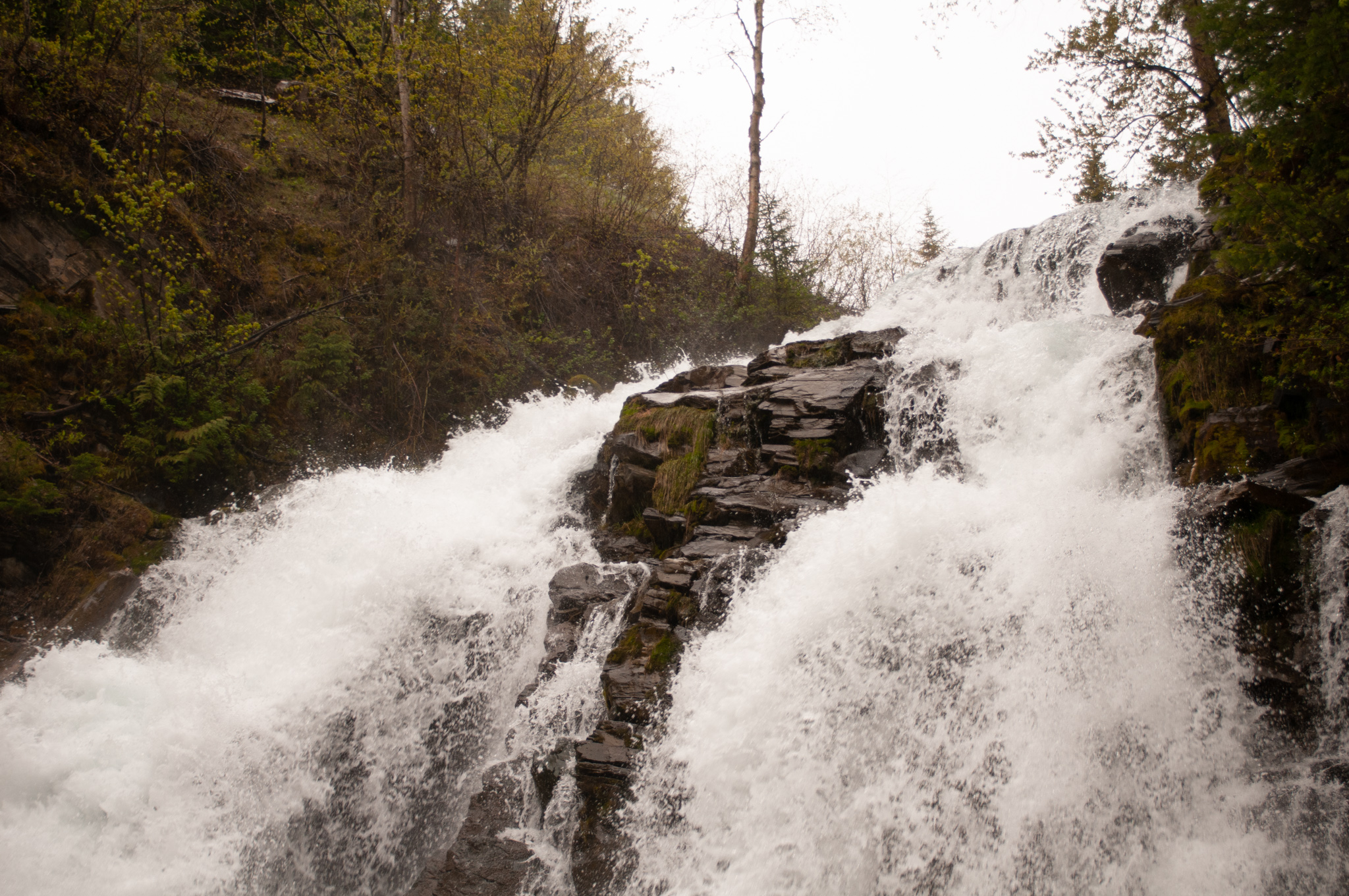 fairy creek falls